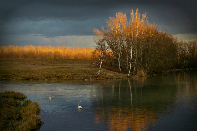 Scháling Anita Fotóalbuma
