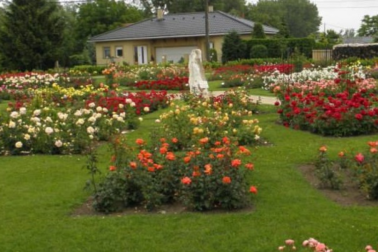 Üdvözlet Máriakálnokról