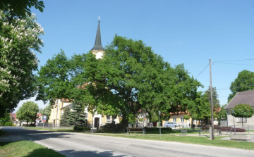 2. helyen áll a Dunakiliti Millenniumi Tölgy az ÉV Fája versenyen