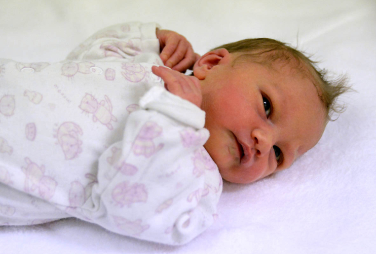 Csapó Jázmin, Halászi