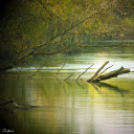 Őszi képek a Szigetközben
