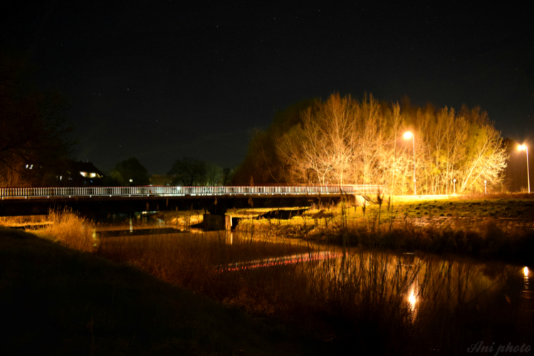 Egy éjszaka a Lajta parton 
