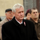 Megyei ünnepi megemlékezés és szoboravatás Lébényben