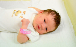 Fenyvesi Olívia Aliz, Mosonmagyaróvár