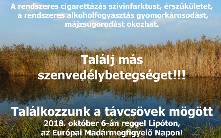 A világ legnagyobb versenye