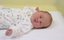 Mihályi Vanessza, Bezenye