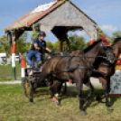 10.  Sajtos-Réti fogathajtó verseny 