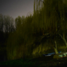 Egy éjszaka a Lajta parton 