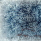 Scháling Anita Fotóalbuma