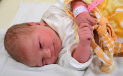 Szénási Kata, Kisbodak