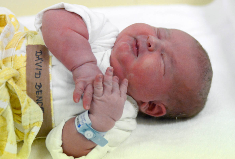 Dávid Bence, Győrújbarát