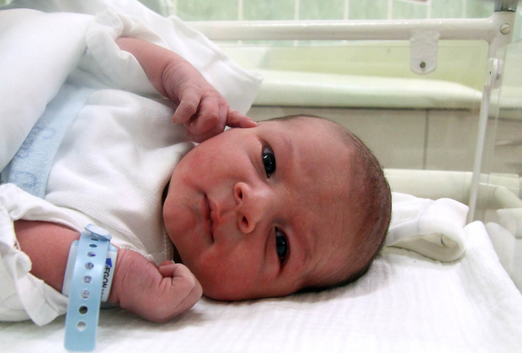 Hegedűs Kornél, Jánossomorja