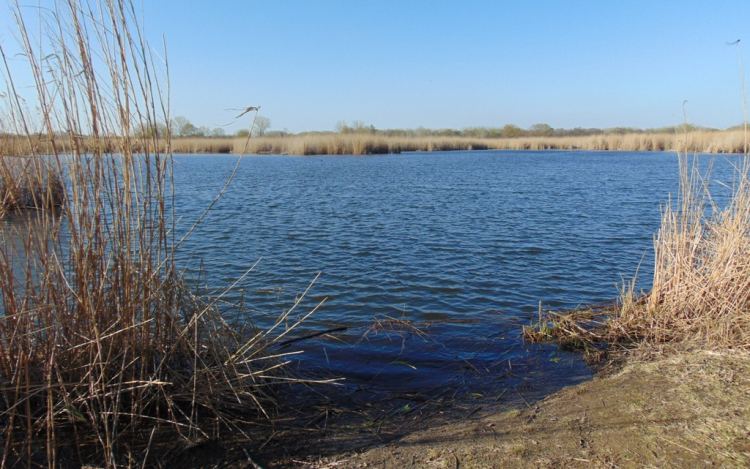 Könnyű séta Lipóton