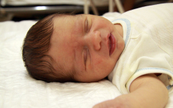 Laczkovics Lóránt, Kimle