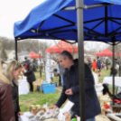 I. Szigetközi Vásár