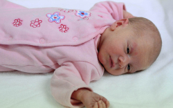 Bolye Hanna Niké, Jánossomorja