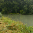 Felső-Dunai mellékág-rendszerek árvízvédelme és vízpótlása I. ütem / projektnyitó rendezvény / 