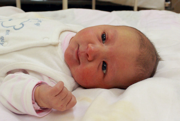 Cseke Nóra, Mosonmagyaróvár