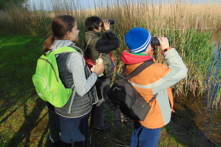 Madárbarátság napja Lipóton