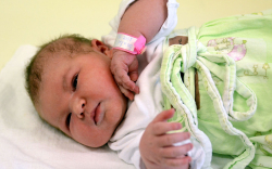 Szabó Laura, Barkacs