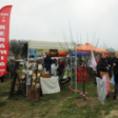 I. Szigetközi Vásár