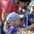 Húsvéti ráhangolódás Máriakálnokon