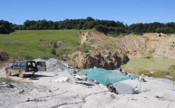 Átírja az eurázsiai dinoszauruszok evolúciójáról alkotott eddigi elképzeléseket egy Iharkúton talált koponyalelet