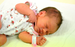 Horváth Zita, Ásványráró