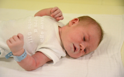 Kremola Gergő, Hegyeshalom