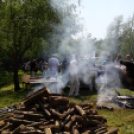 Szigetközi gulyahajtás 2018