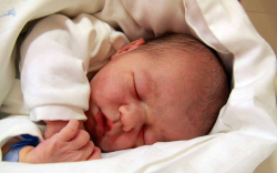 Molnár Kevin, Hegyeshalom