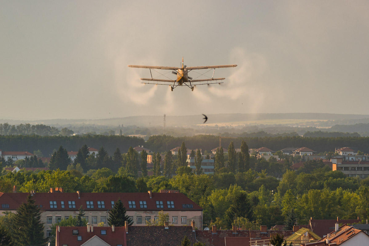 Mérséklődik a szúnyogártalom - megyénkben folytatódik a gyérítés 