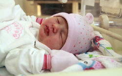 Ádám Hanna, Mosonmagyaróvár