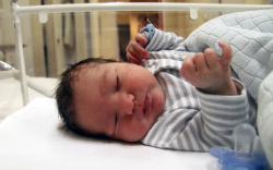 Mándi Nándor, Jánossomorja