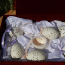 Az ország legnagyobb napóráját avatták Dunaszigeten