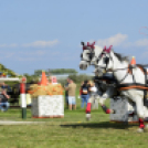 10.  Sajtos-Réti fogathajtó verseny 