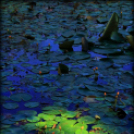  Körtvélyesi László Körte fotóművész munkái