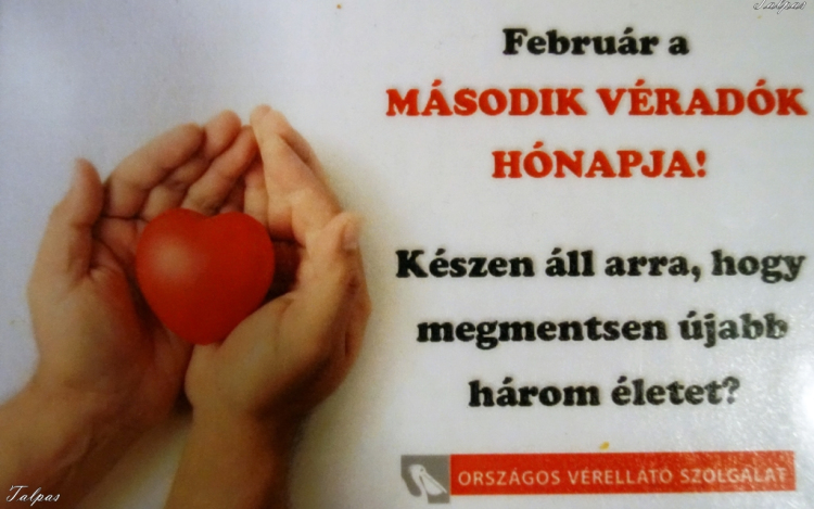 Véradás Darnózselin