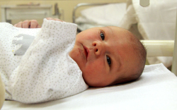 Szeidl Dominik, Mosonmagyaróvár