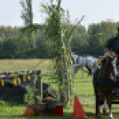 10.  Sajtos-Réti fogathajtó verseny 