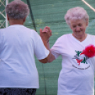 IV. Lébényi Ízőrző Nap