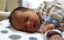 Németh Dominik, Levél