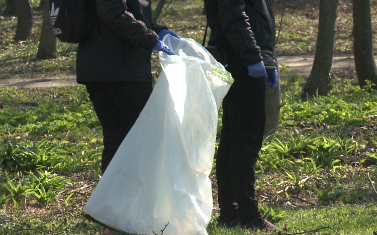 Erdőtisztítást szerveznek Darnózselin
