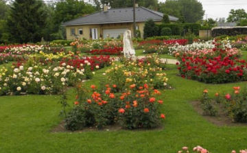 Üdvözlet Máriakálnokról