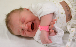 Tóth Adél, Bősárkány