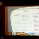 Szigetköz Konferencia - 2018. május 31.