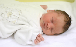 Lipovits Lajos, Jánossomorja