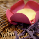 XII. Európai Méhnyakrák Megelőzési Hét, Lébény városban 