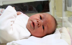 Tankó Zselyke, Mosonmagyaróvár