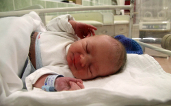 Szabó Dilen Gábor, Mosonmagyaróvár